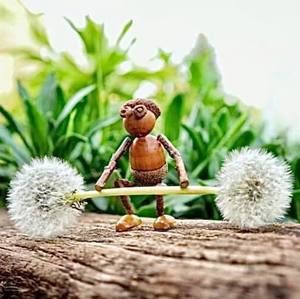 Meet your Posher, Cara